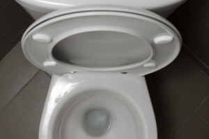 PvdA Cuijk: openbare toiletten in het centrum?